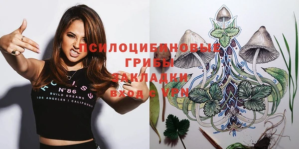 не бодяженный Абаза