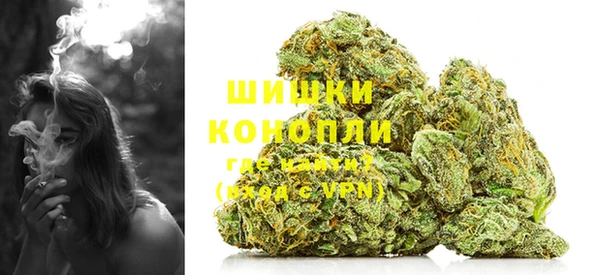 прущие грибы Валуйки