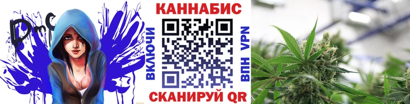 что такое   Ряжск  Каннабис индика 